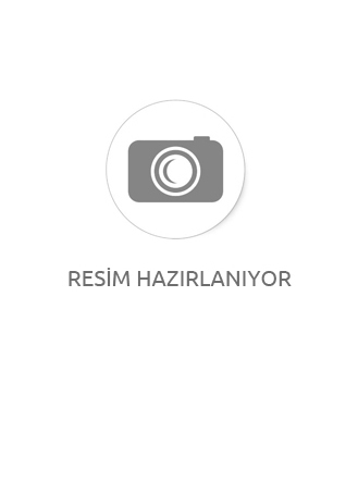 Michelin 120/70 ZR19 60W  COMMANDER II TL/TT Motosiklet Lastiği